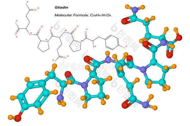 醇溶蛋白分子，<strong>面筋</strong>的成分