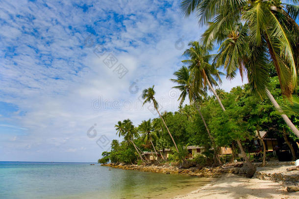 有椰子树和房子的海边和海滩