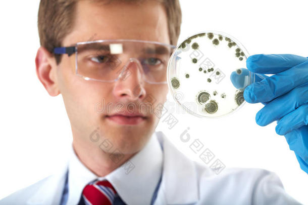 实验室助理用细菌检查培养皿
