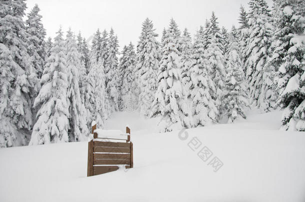 在雪林中招牌，视野开阔