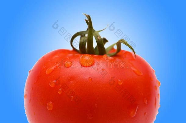 鲜红番茄
