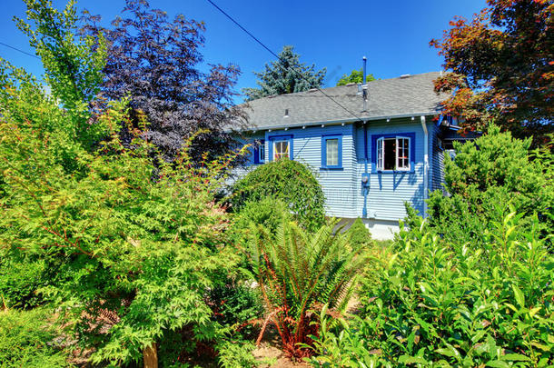 带花园的蓝房子后院