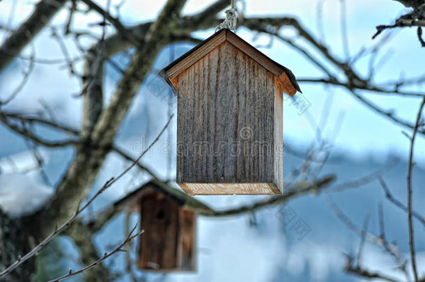 鸟类的木制小家