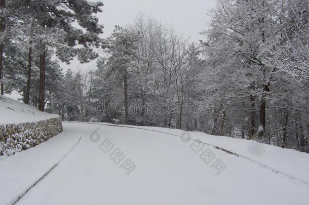 林间雪路