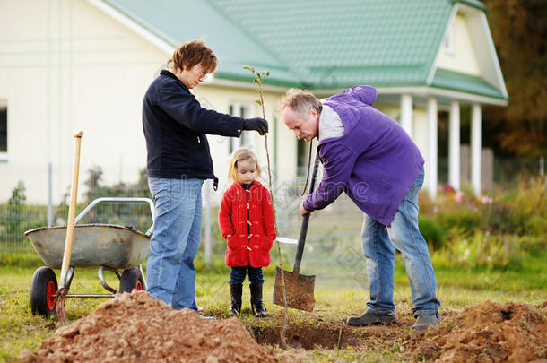 小女孩和她的祖父母在种树