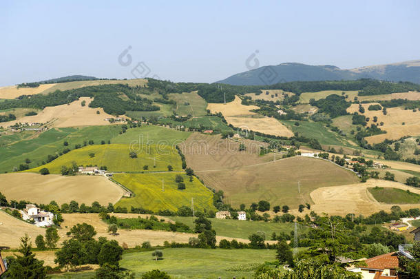 游行，夏日风景