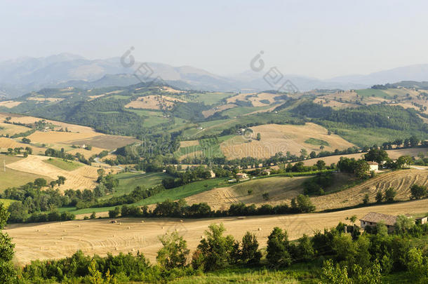 游行，夏日风景