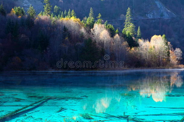 九寨沟秋树山湖