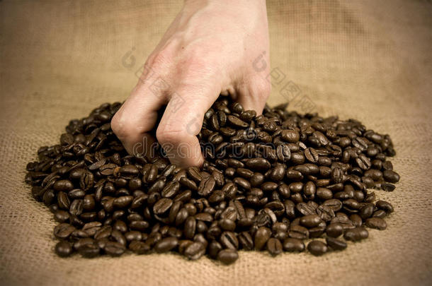 拿起一只装满咖啡豆的手