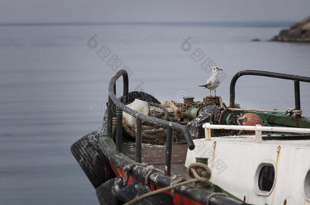 海鸥、大海和渔船