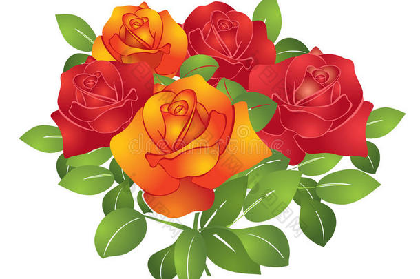 红色和橙色美丽的矢量花-玫瑰