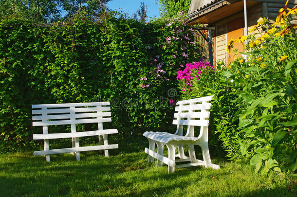 幽静角落花园里的白色长凳