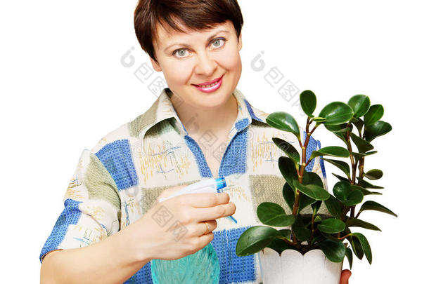 女人用水喷洒植物