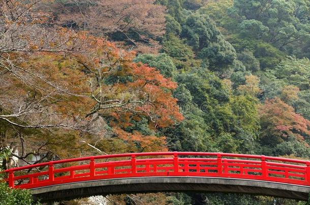 秋天的日本桥