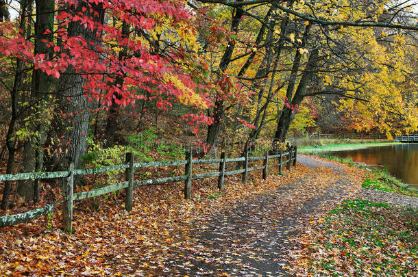 秋天的篱笆和小路