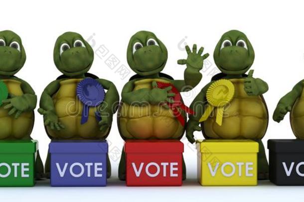 乌龟在选举中拉票