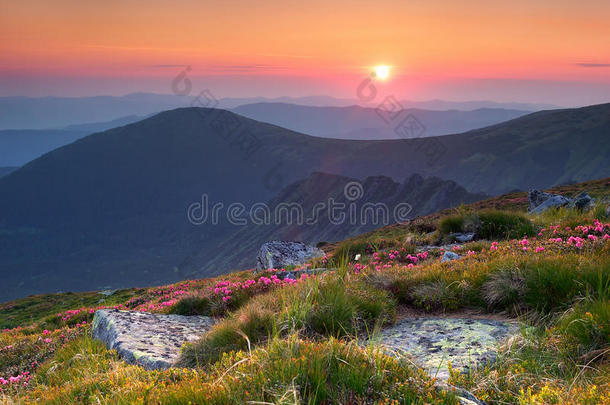 夏日山景与阳光相伴。