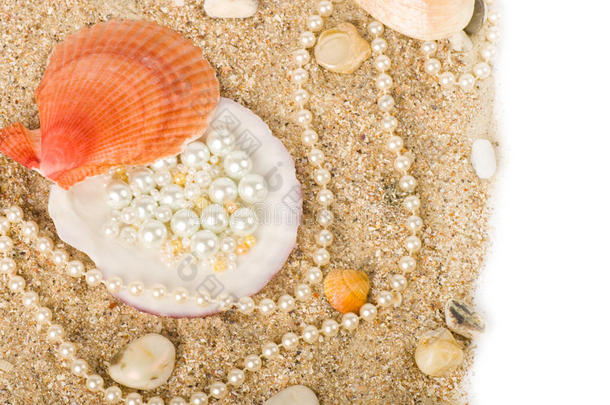 奇异的贝壳和沙滩上的珍珠