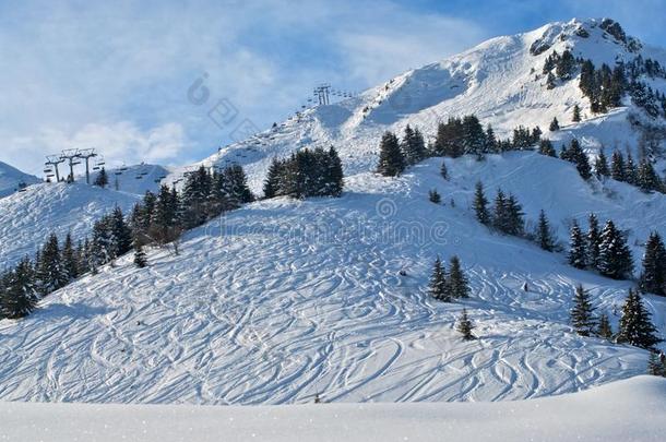 滑雪坡上的新雪