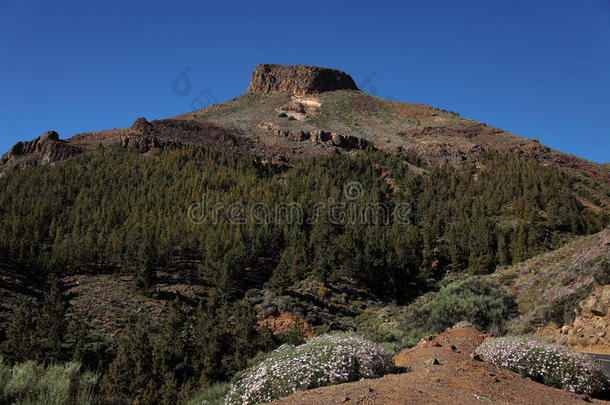 西班牙特内里费岛上的泰德<strong>火山</strong>