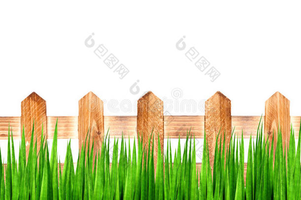绿草木篱笆