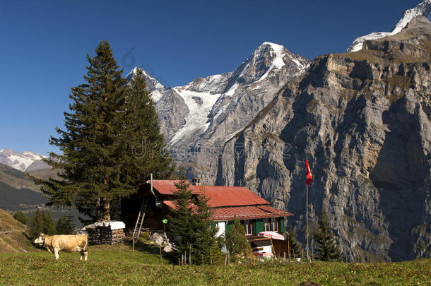 阿尔卑斯<strong>山</strong>农舍，瑞士