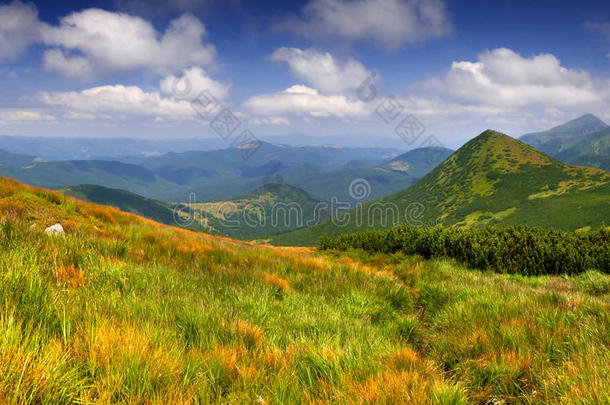 五彩缤纷的夏季景观