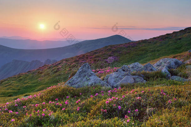 夏日山景与阳光相伴。