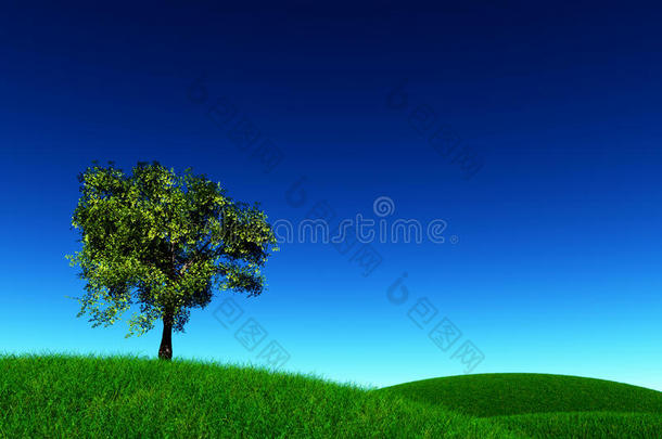草地上的孤独树3d渲染