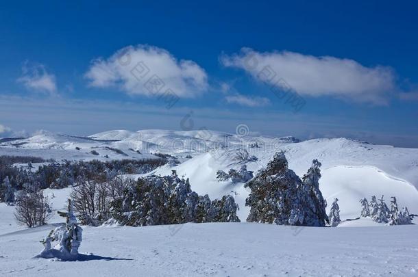 雪域高原