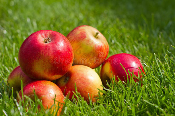 草坪上新鲜的红苹果