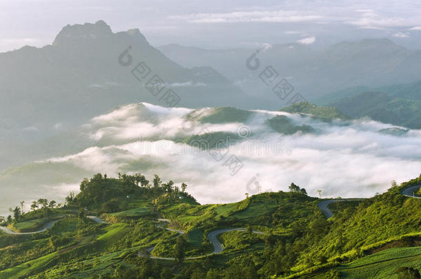 山谷上空的雾