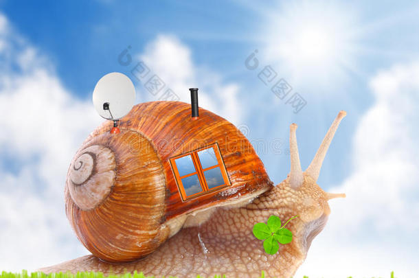 蜗牛带着他的手机回家在路上。