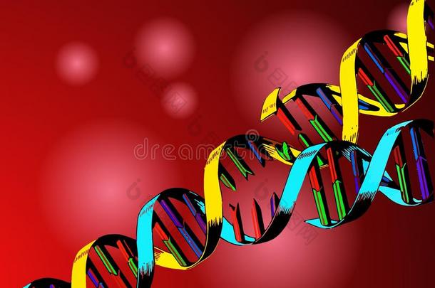 DNA<strong>基因工程</strong>