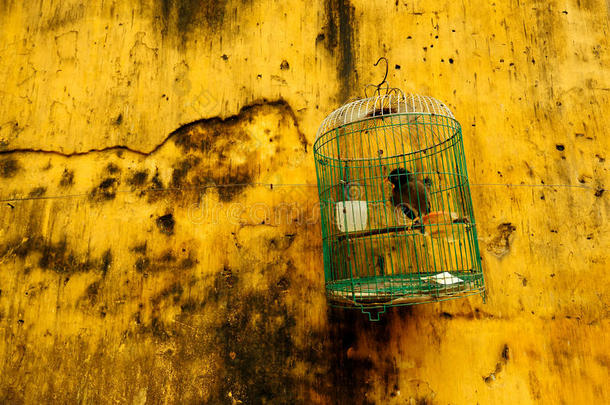 黄墙挂鸟笼