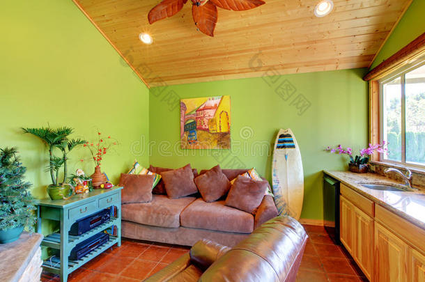 小房子里的绿色沙滩泳池客厅。