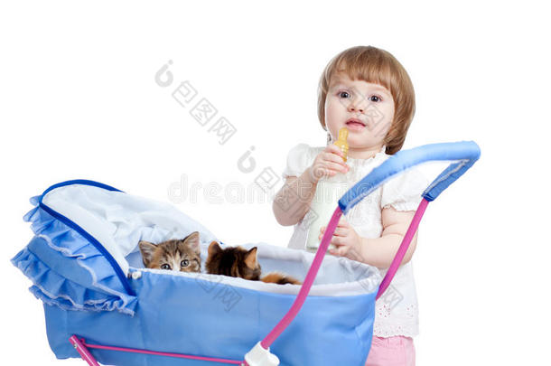 有趣的孩子用奶瓶喂漂亮的小猫