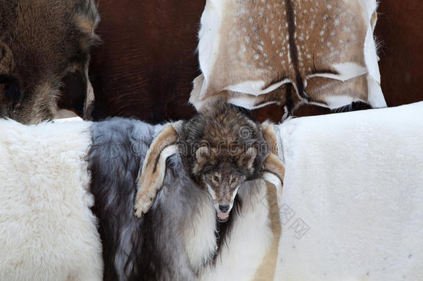 野生动物毛皮，工艺品市场的狼头