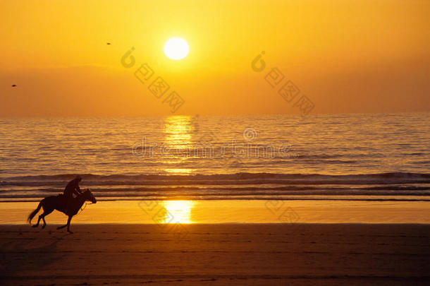 日落时分在海滩上飞驰的马和骑手
