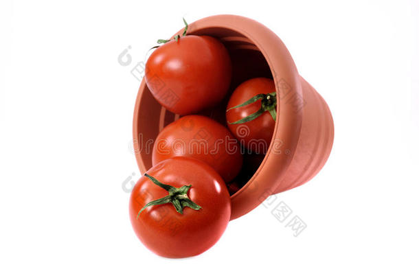 塑料桶里有些西红柿