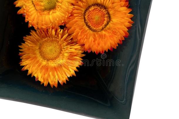 黑色陶瓷碗上的花。