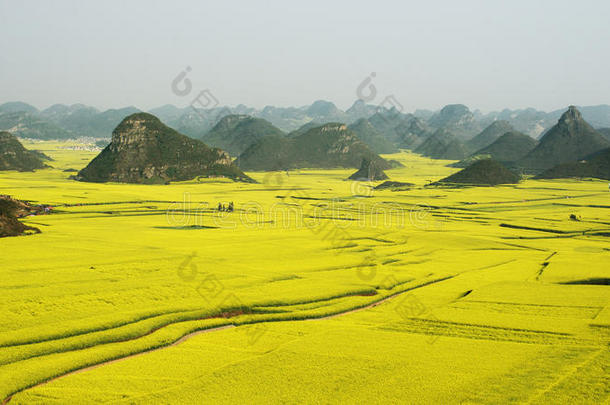 中国<strong>罗平</strong>海事局