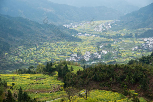 中国农村田野景观