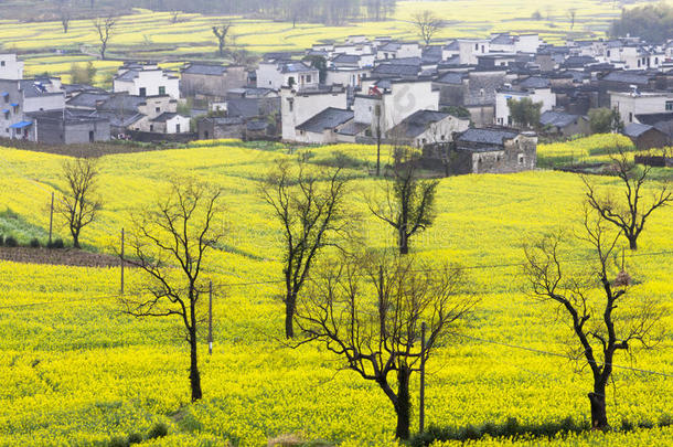 山清<strong>水秀</strong>