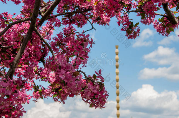 <strong>永无止境</strong>的圆柱纪念碑和粉色的花朵
