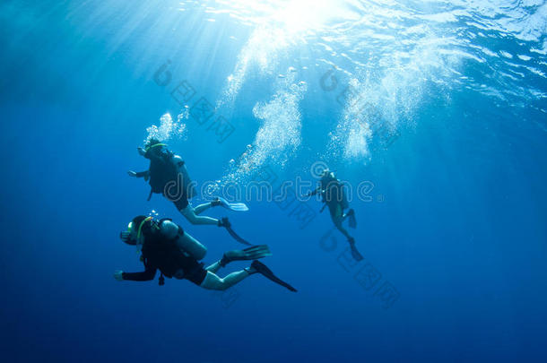 潜水员从水中潜入水中