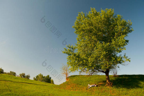 在阳光明媚的春天躺在树下的人