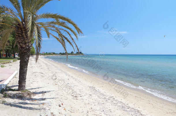 希腊白垩迪基阳光海滩
