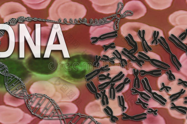 dna染色体基因工程