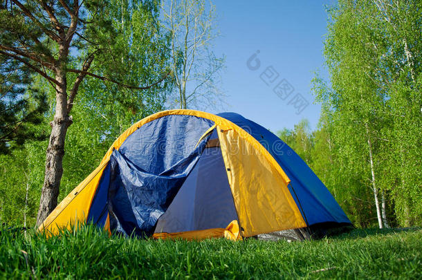 森林里五颜六色的野营帐篷
